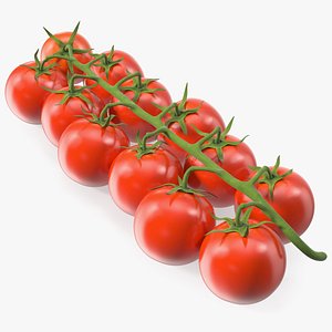 Cherry Tomatoes on the Vine 3D model