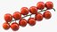 Cherry Tomatoes on the Vine