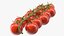 Cherry Tomatoes on the Vine