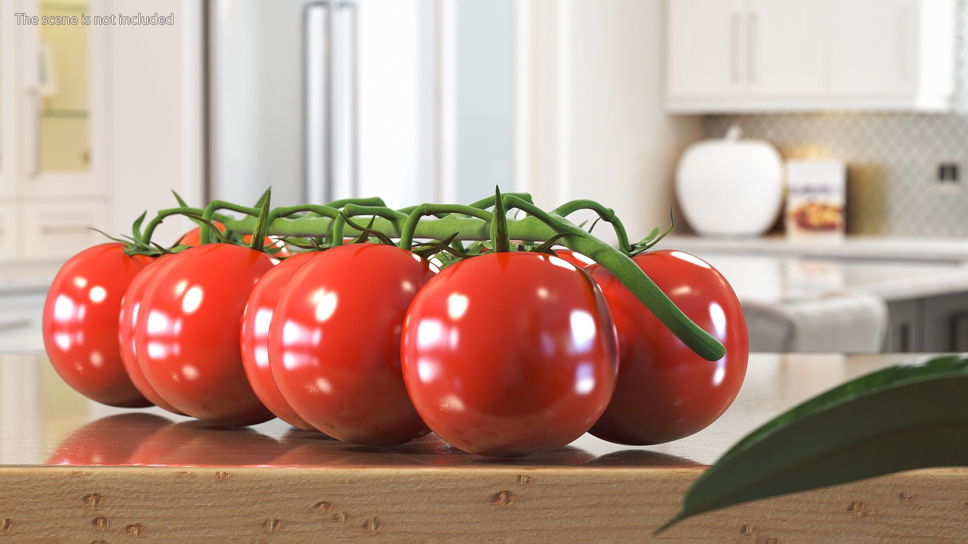 Cherry Tomatoes on the Vine 3D model https://p.turbosquid.com/ts-thumb/dB/JcSZnw/kQ/cherrytomatoesonthevinec4dmodel003/jpg/1637788037/1920x1080/fit_q87/2a233c1ed5a0d20a89baa392fdb023a09a396736/cherrytomatoesonthevinec4dmodel003.jpg