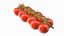 Cherry Tomatoes on the Vine
