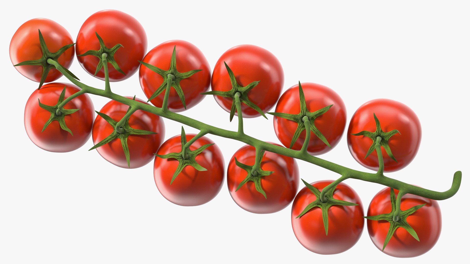 Cherry Tomatoes on the Vine 3D model https://p.turbosquid.com/ts-thumb/dB/JcSZnw/tG/cherrytomatoesonthevinec4dmodel009/jpg/1637788052/1920x1080/fit_q87/fff69b7c8ba61f01361ce49157700c6b7f1bd749/cherrytomatoesonthevinec4dmodel009.jpg