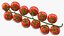 Cherry Tomatoes on the Vine