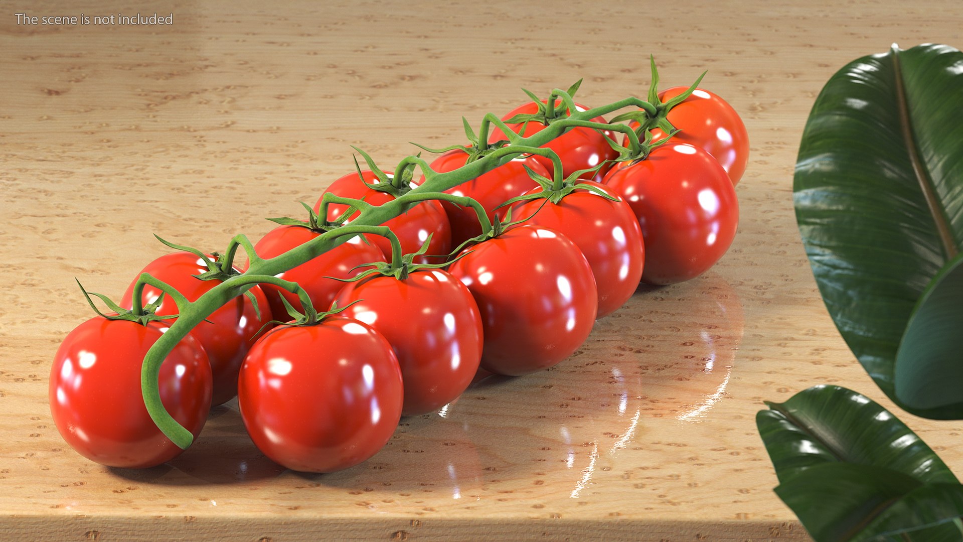 Cherry Tomatoes on the Vine 3D model https://p.turbosquid.com/ts-thumb/dB/JcSZnw/tk/cherrytomatoesonthevinec4dmodel002/jpg/1637788034/1920x1080/fit_q87/3bca1d97ceacccf0bc9e55618f26e0fc0cc93066/cherrytomatoesonthevinec4dmodel002.jpg