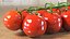 Cherry Tomatoes on the Vine