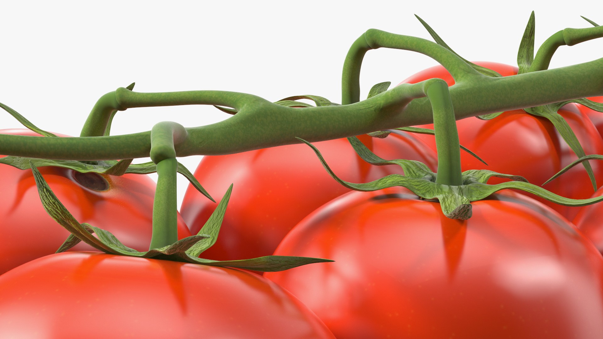 Cherry Tomatoes on the Vine 3D model https://p.turbosquid.com/ts-thumb/dB/JcSZnw/zW/cherrytomatoesonthevinec4dmodel012/jpg/1637788060/1920x1080/fit_q87/ddd9b93aa126b7fcded018f9911d572916c1fa2a/cherrytomatoesonthevinec4dmodel012.jpg
