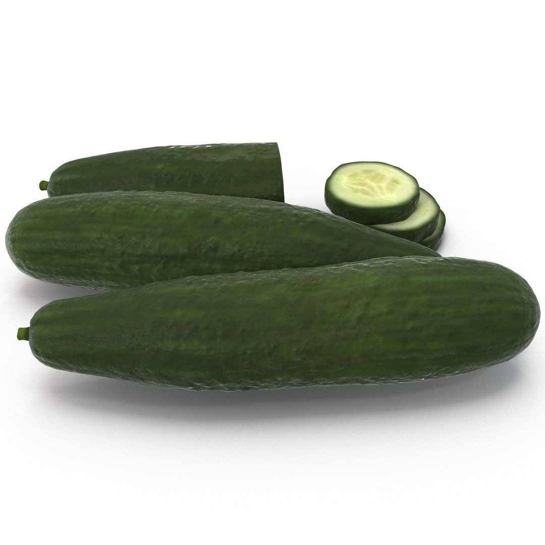 3d Model Cucumber 3