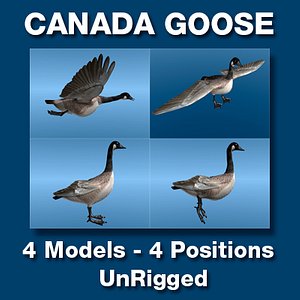 Canada Goose Four Static models