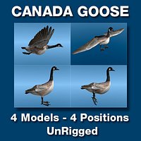 Canada Goose Four Static models