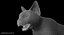 Siamese Cat