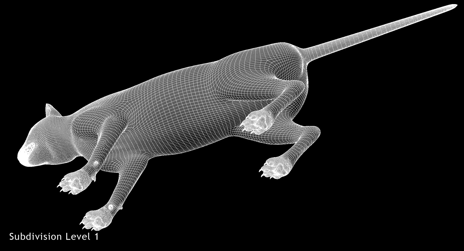 siamese cat siam 3d obj https://p.turbosquid.com/ts-thumb/dC/47020G/dGidJpgz/w04/jpg/1468483040/1920x1080/fit_q87/b78800974fd83b8d106310d24966d1b50d313382/w04.jpg