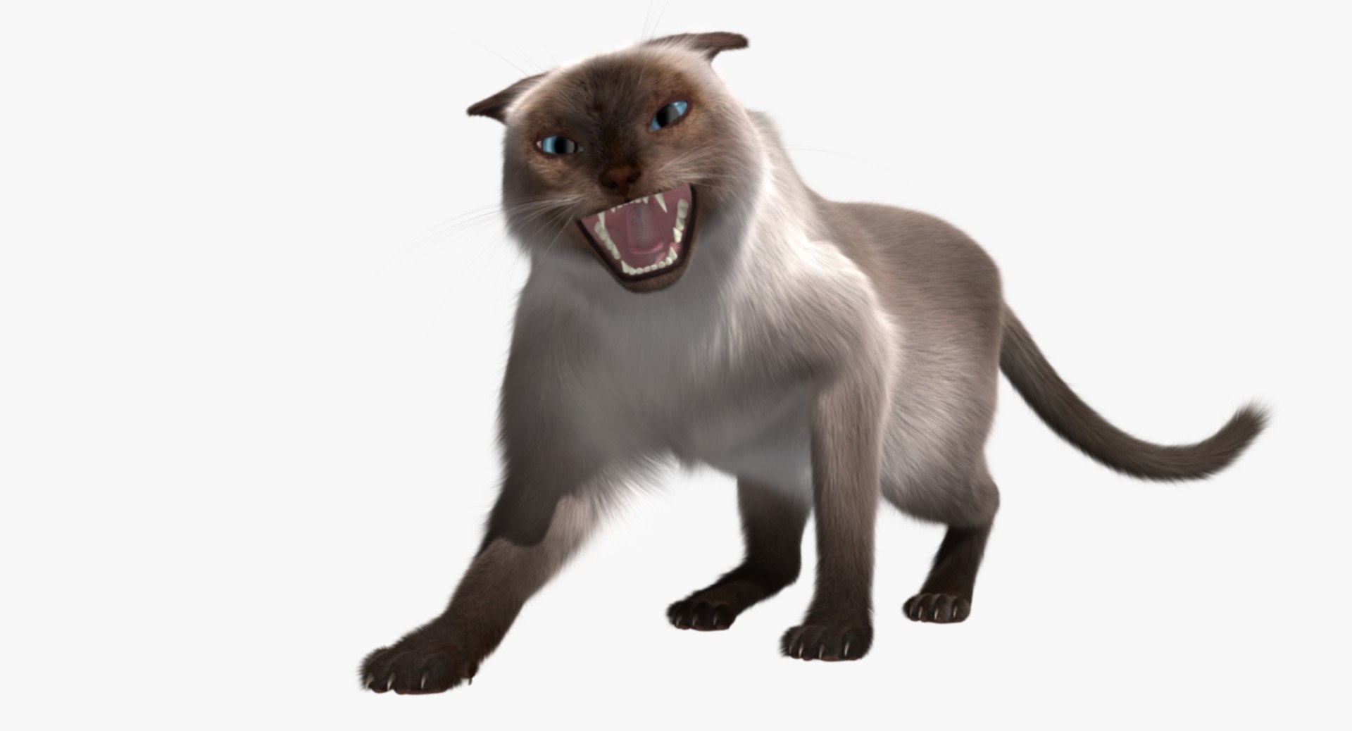 siamese cat siam 3d obj https://p.turbosquid.com/ts-thumb/dC/47020G/kIZJtIr0/rp02/jpg/1468483016/1920x1080/fit_q87/45e3230b49c0aed6bfdfe60ef0ab6a9fd996044f/rp02.jpg