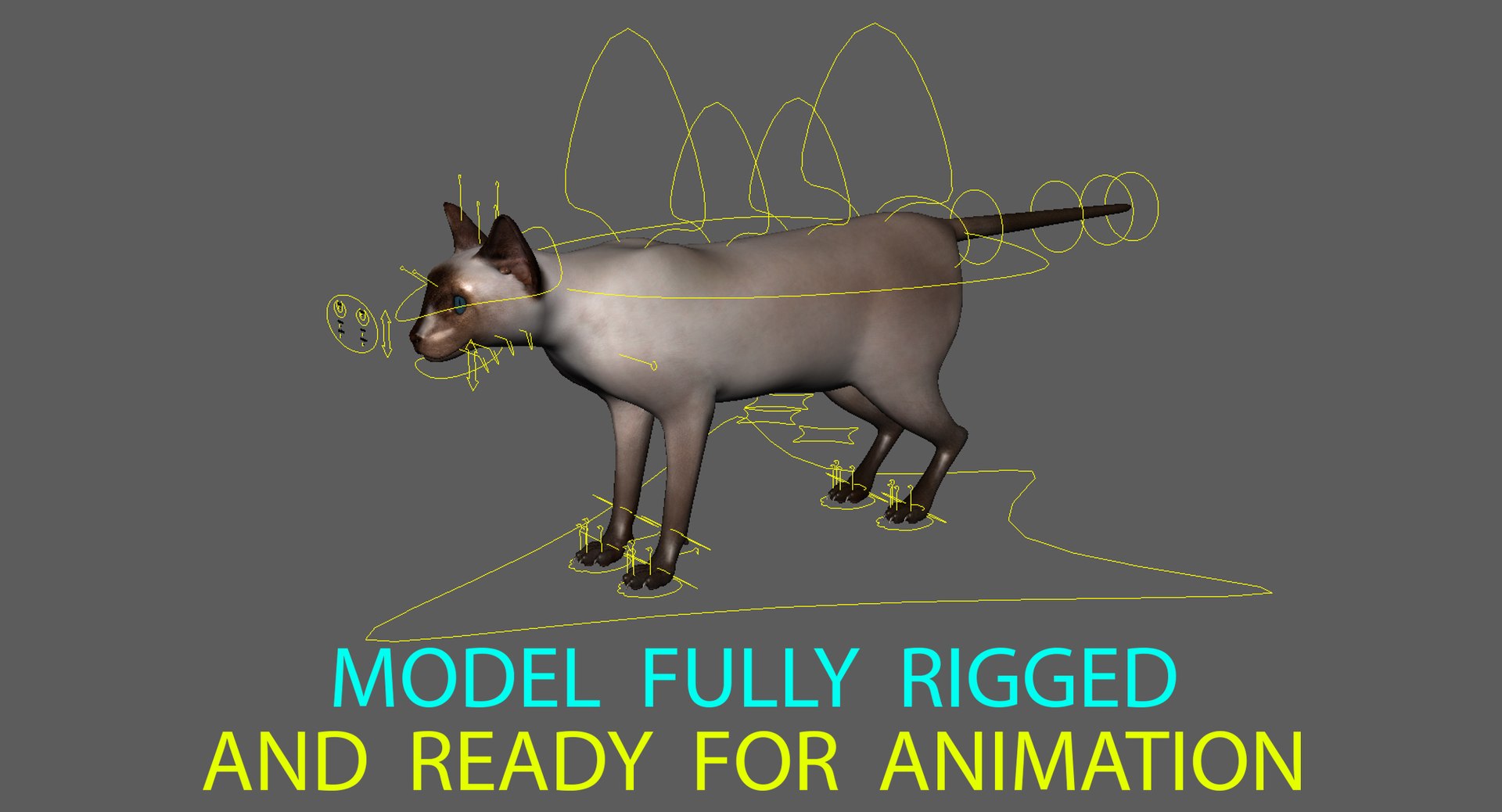 siamese cat siam 3d obj https://p.turbosquid.com/ts-thumb/dC/47020G/zlvZ0MNo/rigged_wide_2016/jpg/1468482937/1920x1080/fit_q87/56ecacb2cbbdb876dce2c4cfa93f24261f84a309/rigged_wide_2016.jpg