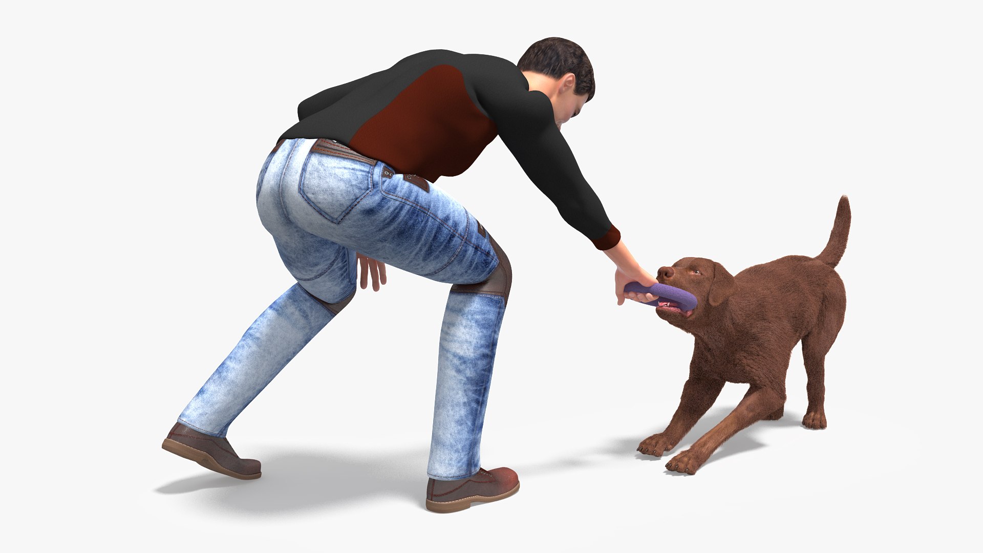 Dog Owner Playing with Labrador Fur 3D model preview