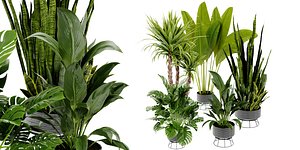 3D Collection plant vol 440 - blender model
