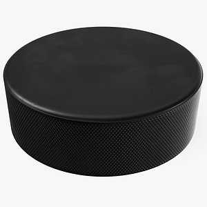 Hockey Puck
