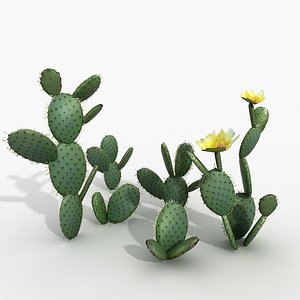 3dsmax opuncia cactus