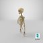 Real Human Rib Cage Spine Female Skull Clavicle Scapula and Arms Bones Anatomy with Disks