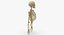 Real Human Rib Cage Spine Female Skull Clavicle Scapula and Arms Bones Anatomy with Disks