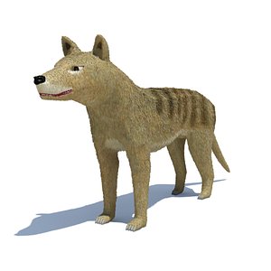 259 Thylacine Images, Stock Photos, 3D objects, & Vectors