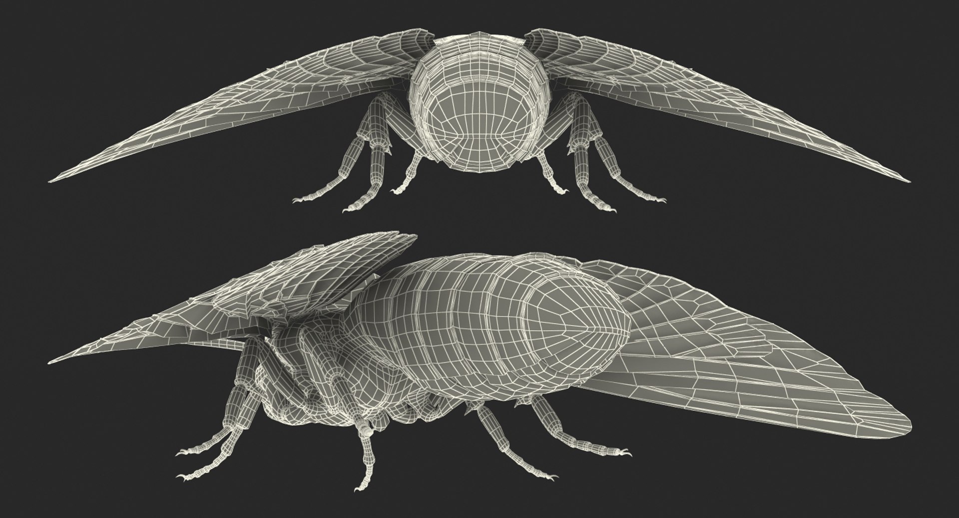 deaths head hawkmoth rigged 3d ma https://p.turbosquid.com/ts-thumb/dC/qHvOuz/JwkTB7N0/deathsheadhawkmothriggedmayamb3dmodel33/jpg/1490536812/1920x1080/fit_q87/90d9ae2d1f582c280a0bdd88d132372e0185f94c/deathsheadhawkmothriggedmayamb3dmodel33.jpg