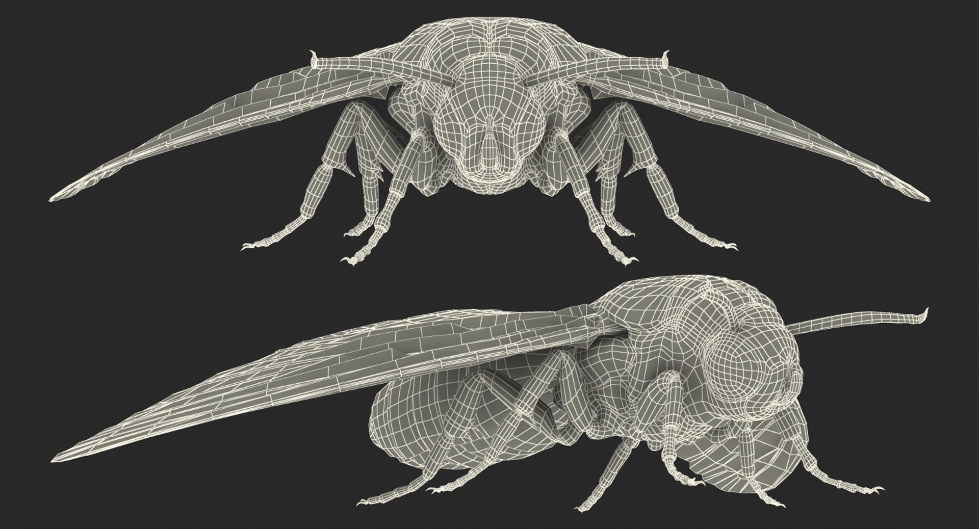 deaths head hawkmoth rigged 3d ma https://p.turbosquid.com/ts-thumb/dC/qHvOuz/O2fC48R8/deathsheadhawkmothriggedmayamb3dmodel32/jpg/1490536812/1920x1080/fit_q87/6cf6e38341851e484161d409ee39b5a5e85de0f8/deathsheadhawkmothriggedmayamb3dmodel32.jpg