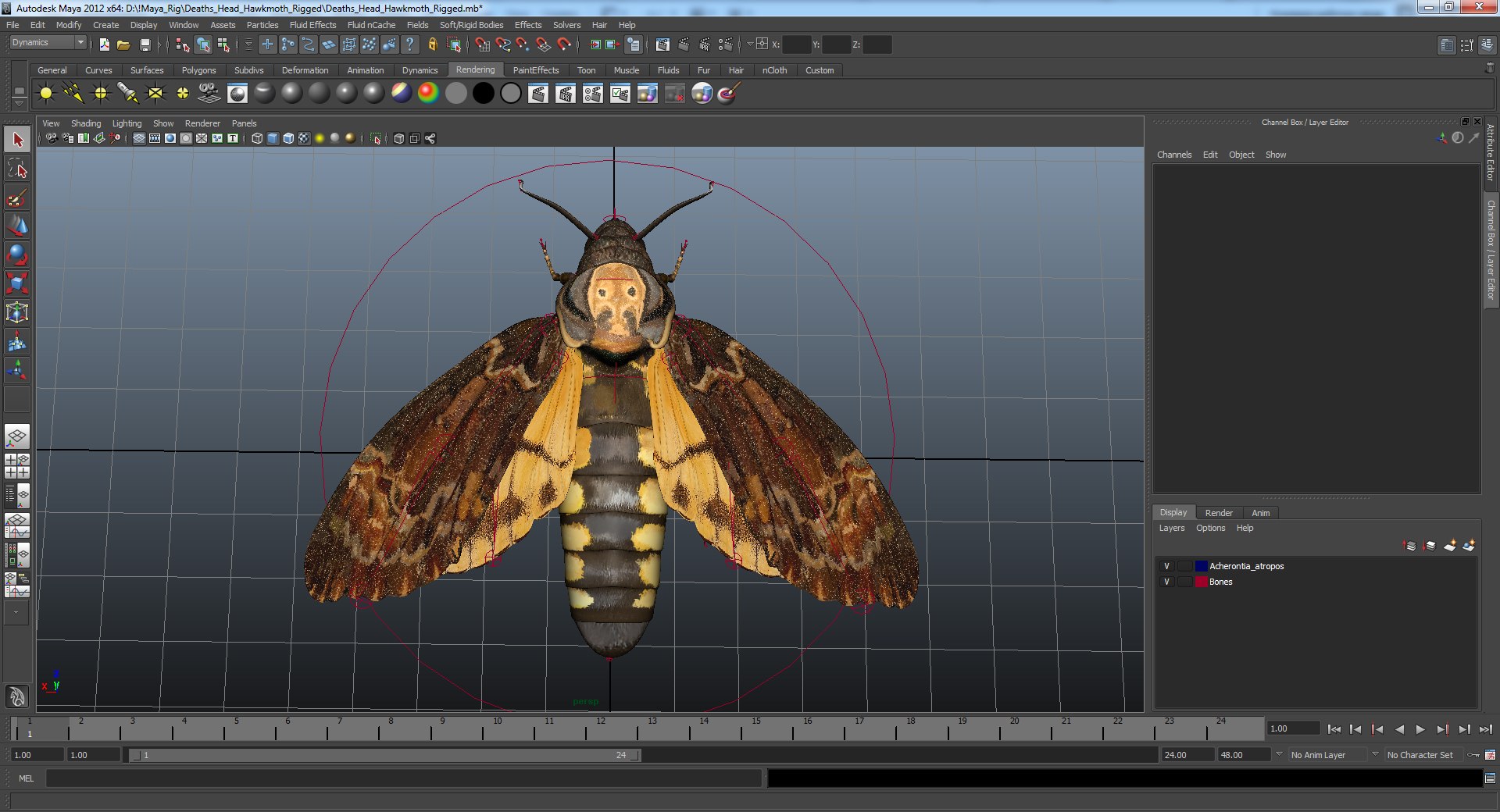 deaths head hawkmoth rigged 3d ma https://p.turbosquid.com/ts-thumb/dC/qHvOuz/kFpNNpmT/deathsheadhawkmothriggedmayamb3dmodel20/jpg/1490536812/1920x1080/fit_q87/d6e14235933a20cf2fcbbc6a036252f9fd06502e/deathsheadhawkmothriggedmayamb3dmodel20.jpg