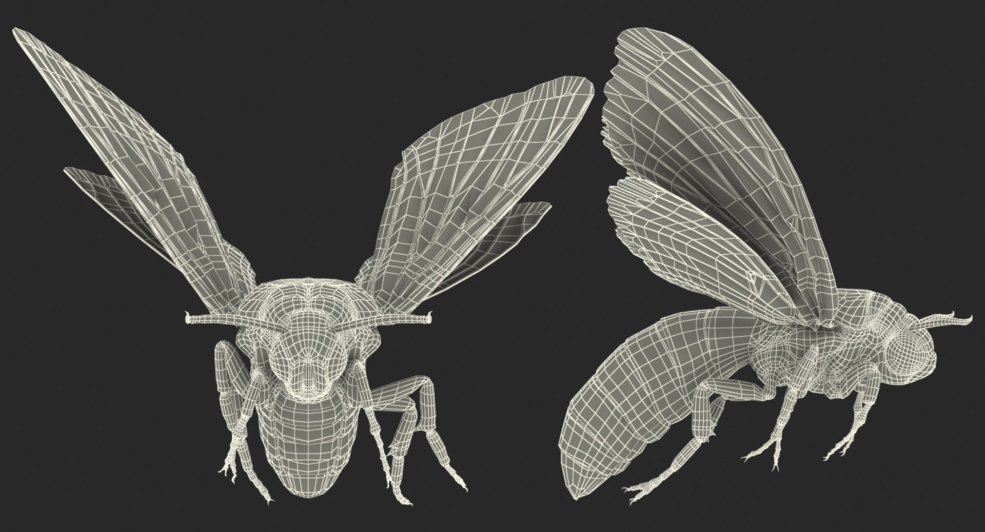 deaths head hawkmoth rigged 3d ma https://p.turbosquid.com/ts-thumb/dC/qHvOuz/kbt1EUL3/deathsheadhawkmothriggedmayamb3dmodel34/jpg/1490536812/1920x1080/fit_q87/1afb722eafa991bf444f549a99068dbb71fb034f/deathsheadhawkmothriggedmayamb3dmodel34.jpg