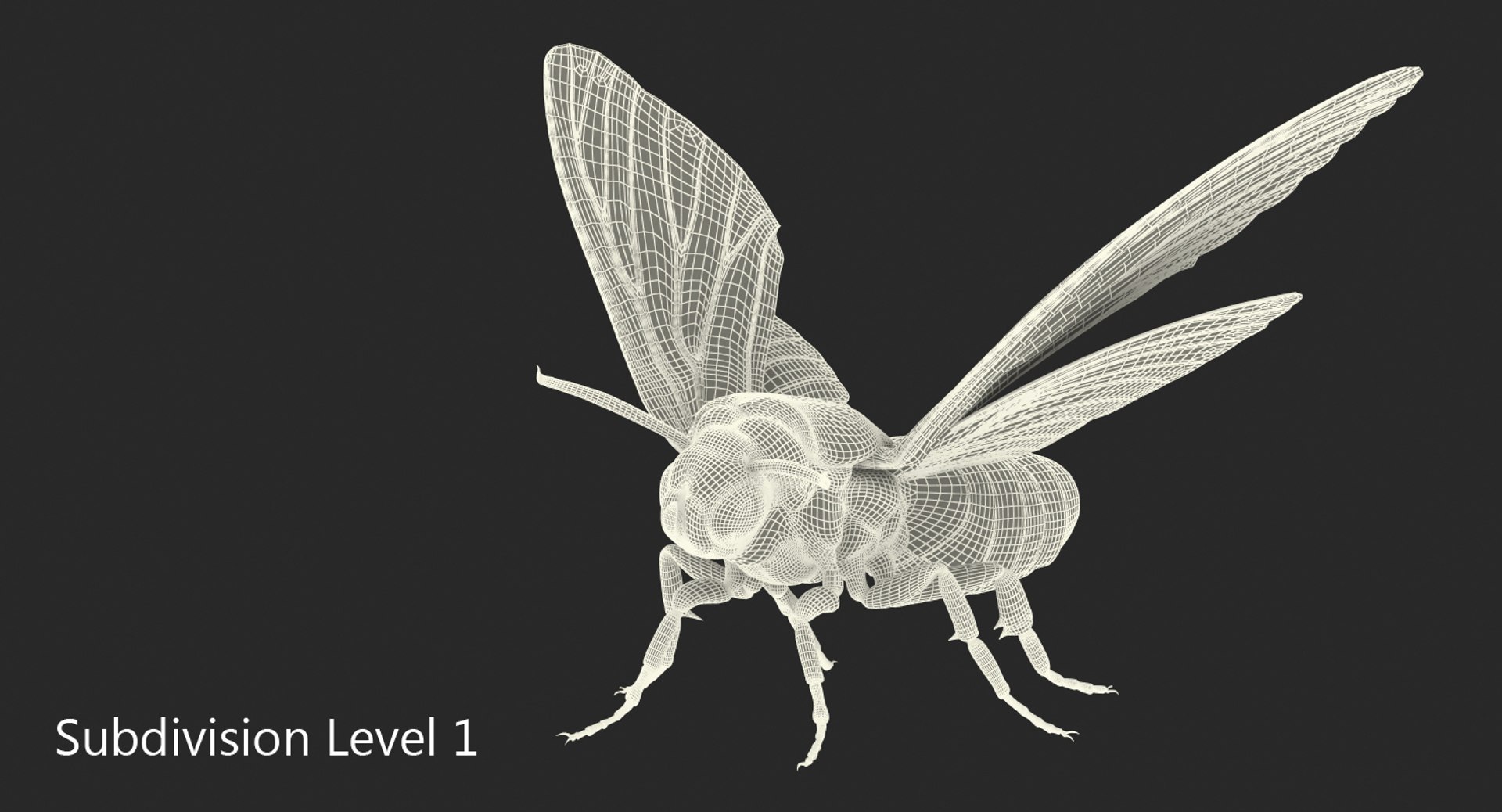 deaths head hawkmoth rigged 3d ma https://p.turbosquid.com/ts-thumb/dC/qHvOuz/knFyhGC5/deathsheadhawkmothriggedmayamb3dmodel24/jpg/1490536812/1920x1080/fit_q87/d386d308a3e90477c2f2336bcac7ba4142faf2ea/deathsheadhawkmothriggedmayamb3dmodel24.jpg