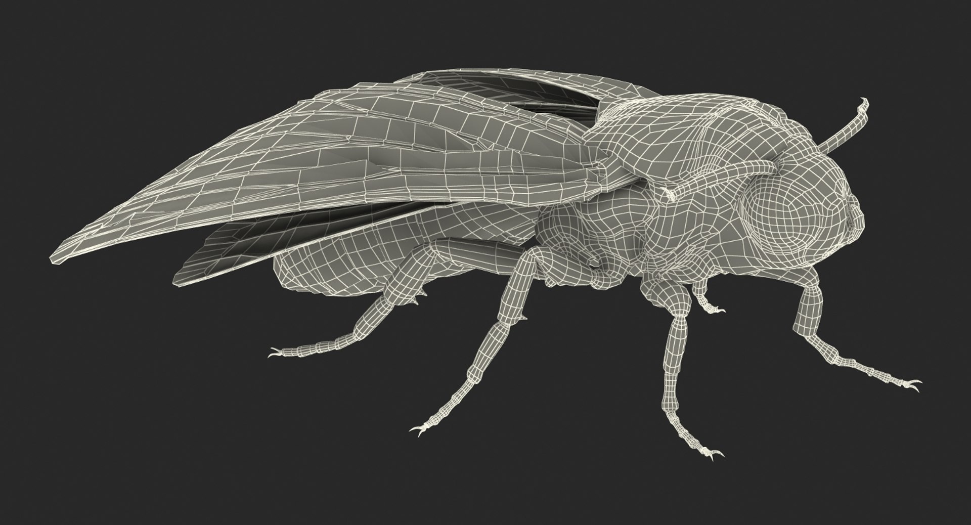 deaths head hawkmoth rigged 3d ma https://p.turbosquid.com/ts-thumb/dC/qHvOuz/nNKBF6FJ/deathsheadhawkmothriggedmayamb3dmodel29/jpg/1490536812/1920x1080/fit_q87/8d55870681a612d658b6fb2ee5103de075e3d463/deathsheadhawkmothriggedmayamb3dmodel29.jpg