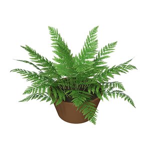 3D fern alpha channel model