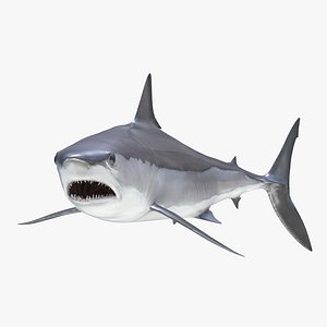 shortfin mako shark pose 3ds