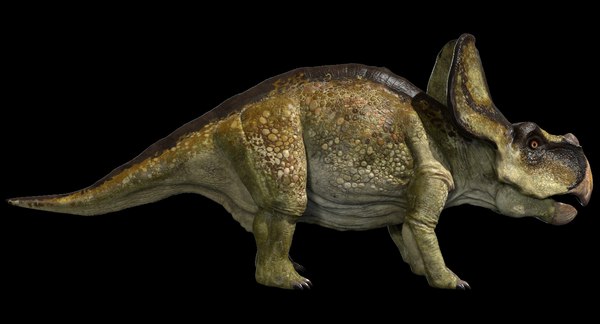 modelo 3d Protoceratops 3D (Rigged) - TurboSquid 1410347