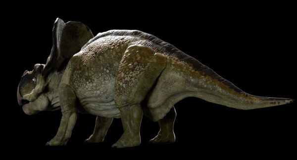 modelo 3d Protoceratops 3D (Rigged) - TurboSquid 1410347