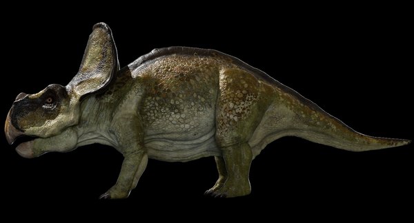 modelo 3d Protoceratops 3D (Rigged) - TurboSquid 1410347