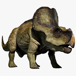 Protoceratops 3D (Rigged)