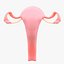 Pacchetto sezione sistema riproduttivo femminile