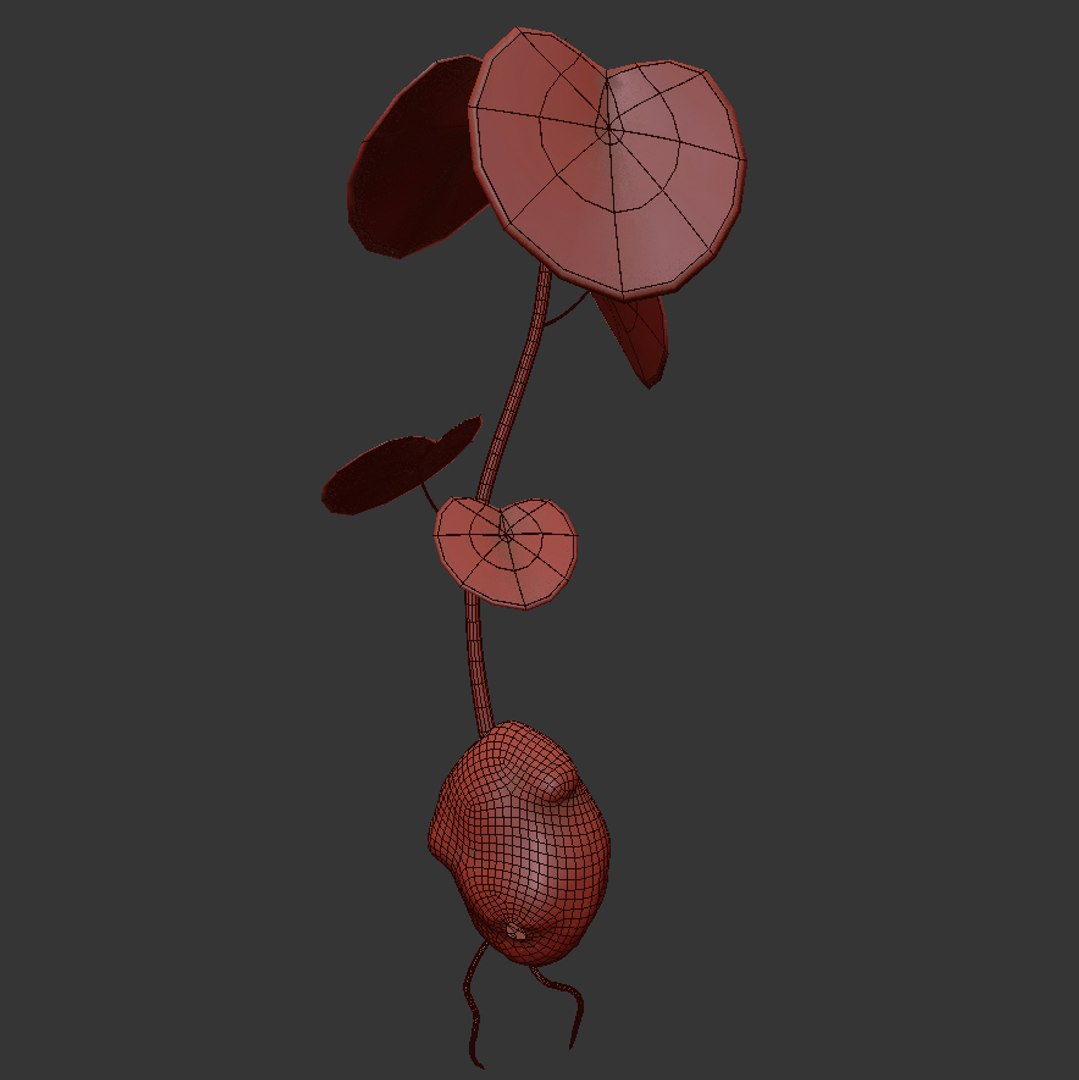 3D flowers open model https://p.turbosquid.com/ts-thumb/dD/dlxxhD/1ei9qLLa/03/jpg/1594389987/1920x1080/fit_q87/266d8aba05b7533acfd82445a019609363ac2094/03.jpg