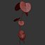 Solanum Tuberosum
