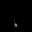 Solanum Tuberosum