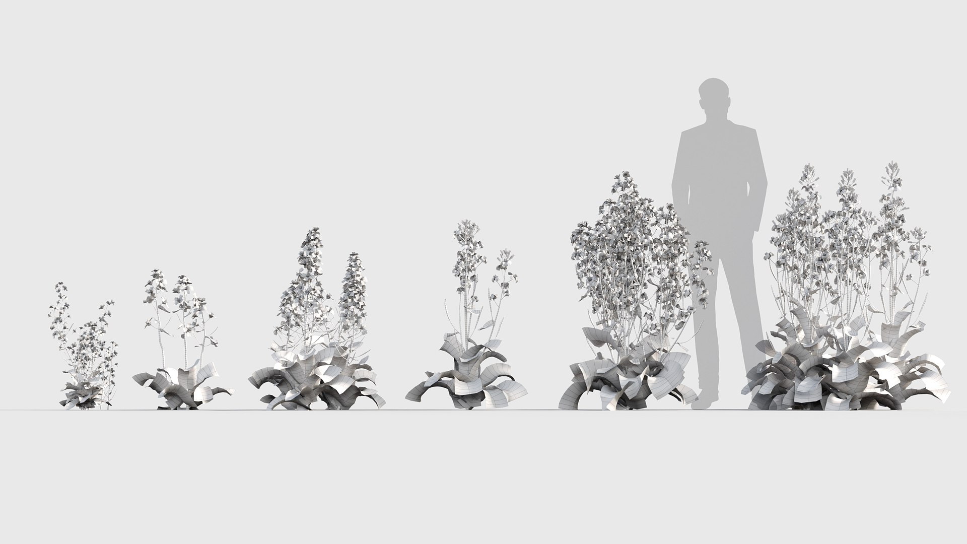 3D model Brassica napus https://p.turbosquid.com/ts-thumb/dD/fVhaPA/dY/gd_v19_brassica_napus_wire03/jpg/1787553690/1920x1080/fit_q87/a6a5d0a675012ea26d8f74a9ab0a378526d6b986/gd_v19_brassica_napus_wire03.jpg