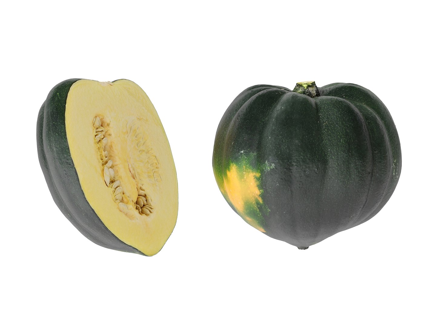 Acorn Squash 3D TurboSquid 2095226   Preview 06 