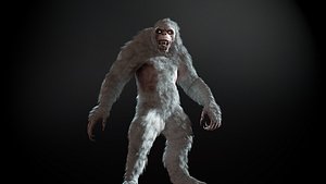 Yeti