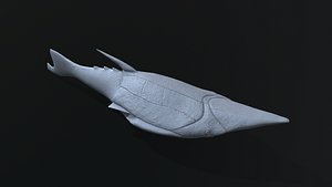 Pteraspis 3D printing 3D