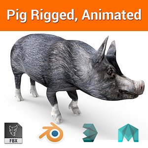 Black pig Rigged, Animated model