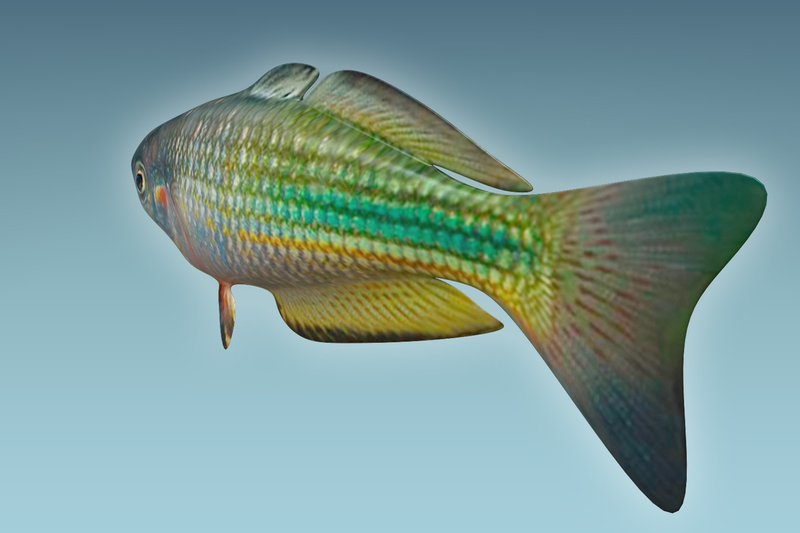 3D rainbow fish https://p.turbosquid.com/ts-thumb/dE/QCykXN/u0w4aJ1R/04/jpg/1505112653/1920x1080/fit_q87/9fd5698cac79ee2a0dbb3eae6bcc117e17db1eb4/04.jpg