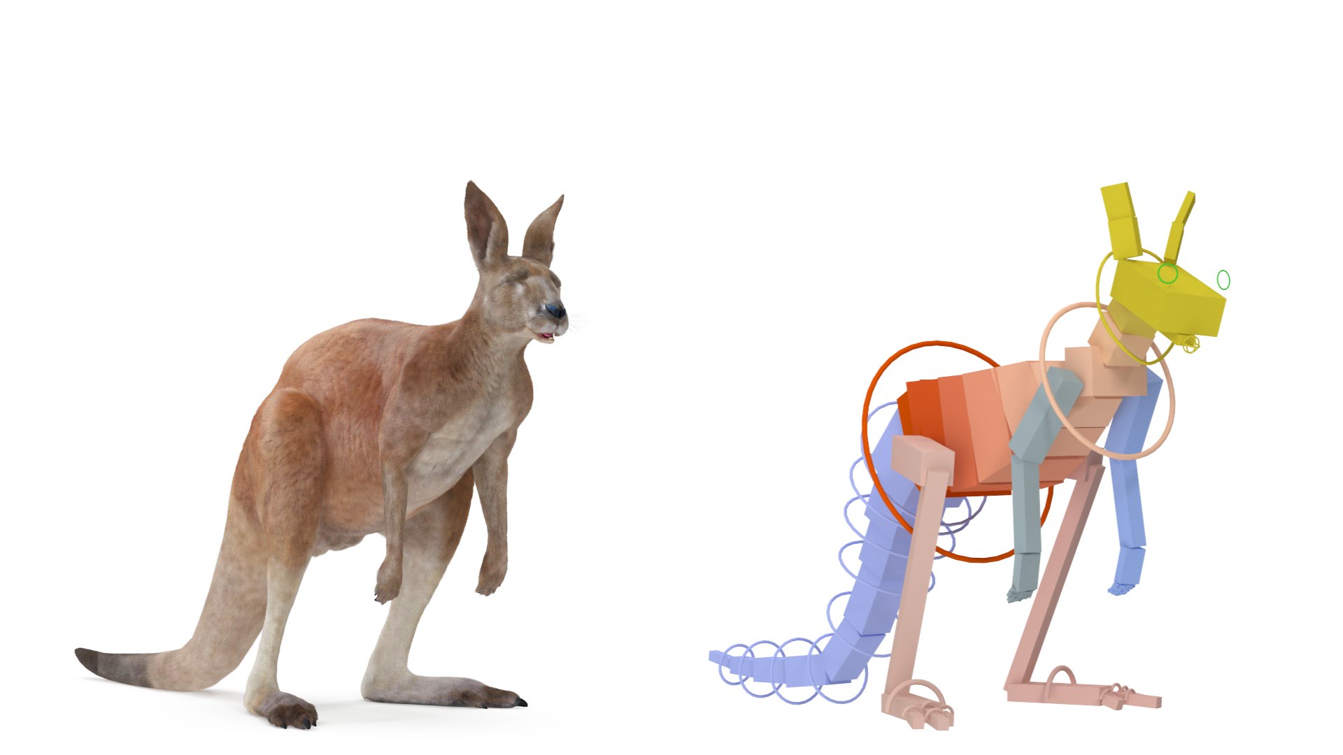 Kangaroo Fur Rigged 3D model https://p.turbosquid.com/ts-thumb/dE/SiraqH/Jz/kangaroofurriggedvray3dmodel002/jpg/1727062322/1920x1080/fit_q87/e9d8cd5d1d45d04cc9a9dcef4ce5b20e52069ead/kangaroofurriggedvray3dmodel002.jpg