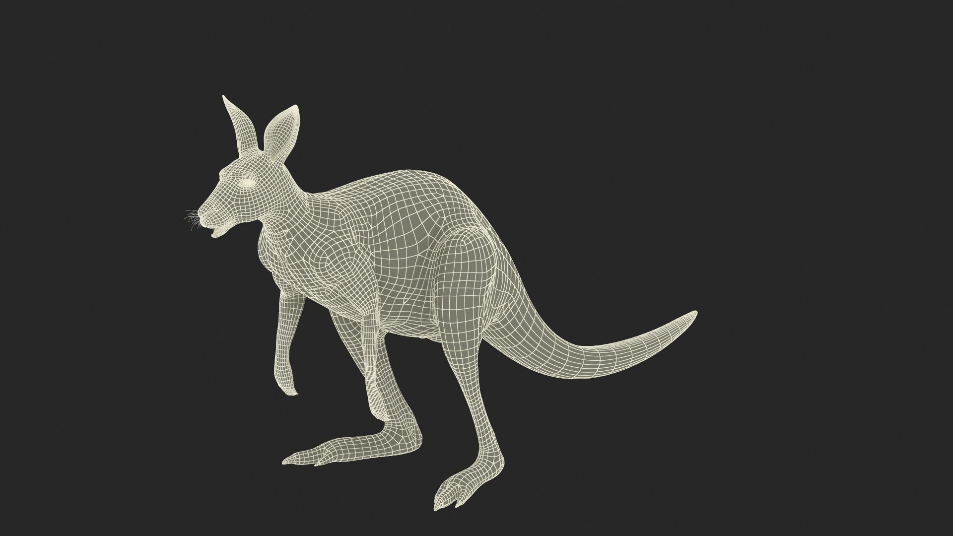 Kangaroo Fur Rigged 3D model https://p.turbosquid.com/ts-thumb/dE/SiraqH/YW/kangaroofurriggedvray3dmodel027/jpg/1727062419/1920x1080/fit_q87/386963f166d0790d2f743fea0441845e30b51bd2/kangaroofurriggedvray3dmodel027.jpg