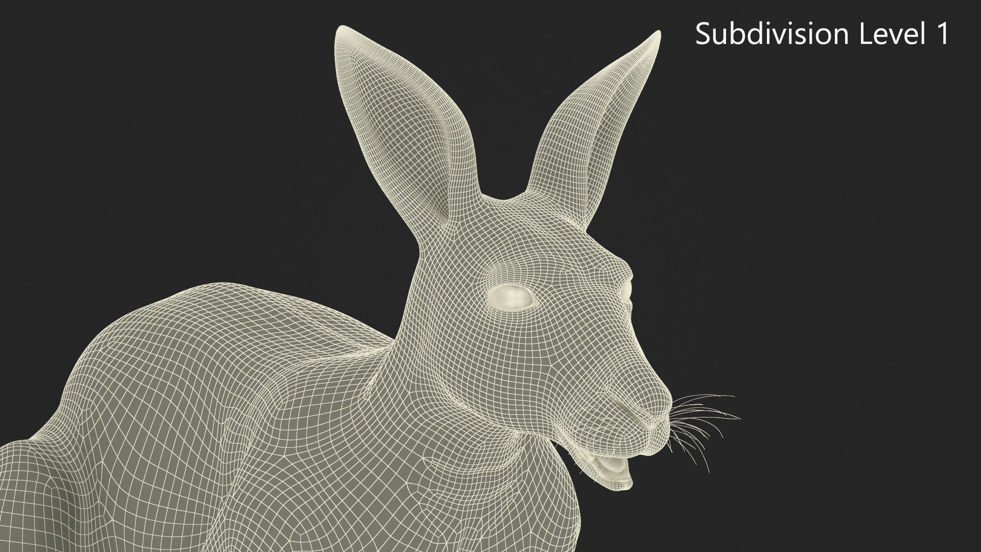 Kangaroo Fur Rigged 3D model https://p.turbosquid.com/ts-thumb/dE/SiraqH/h7/kangaroofurriggedvray3dmodel021/jpg/1727062396/1920x1080/fit_q87/b3362af2a9cab0e7107ac7cb7824398f487ec7f9/kangaroofurriggedvray3dmodel021.jpg