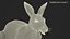 Kangaroo Fur Rigged
